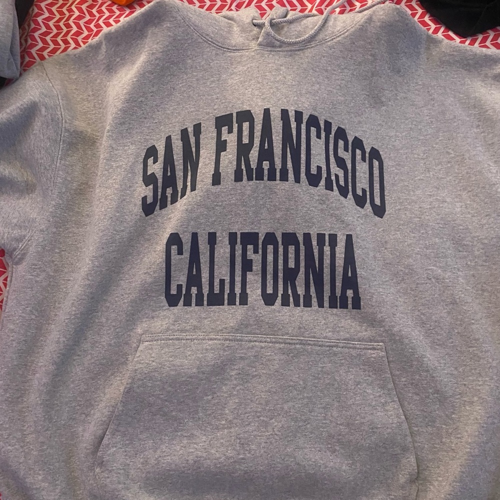 Brand new brandy Melville San Francisco hoodie